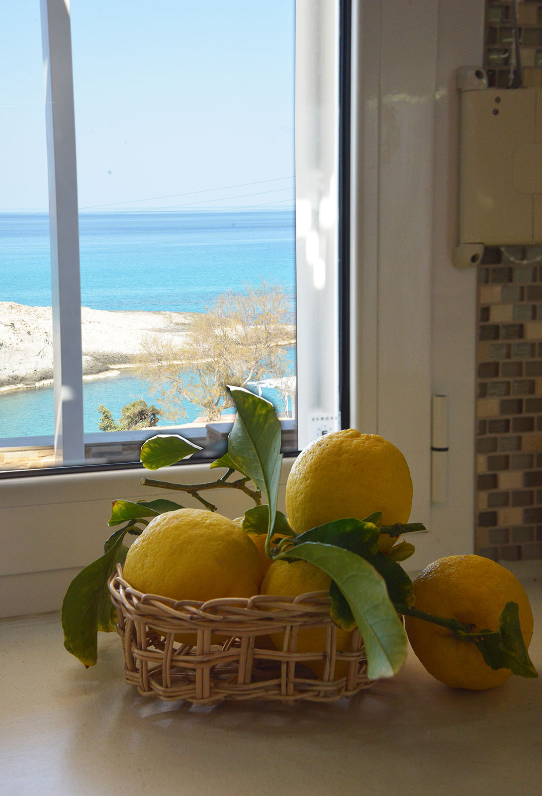 home-galery-1
